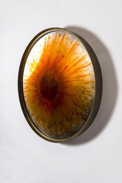 Tom Palmer Iris Mirror 2024