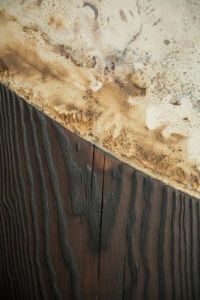 Tom Palmer Lunar Screen 2024