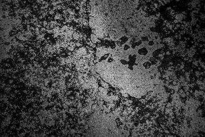 Tom Price Tom Price Carbon Bench