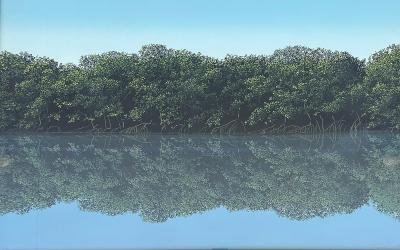 Tomas Sanchez Original Tomas Sanchez Orilla Lithograph Signed Dated Artist Proof