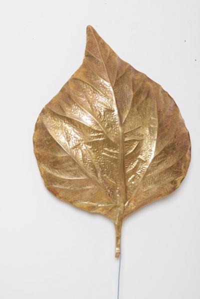 Tommaso Barbi 1 of 4 Huge Rhaburb Leaf Brass Wall Lights or Sconces by Tommaso Barbi