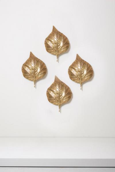Tommaso Barbi 1 of 4 Huge Rhaburb Leaf Brass Wall Lights or Sconces by Tommaso Barbi