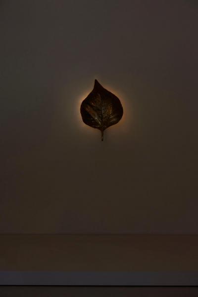 Tommaso Barbi 1 of 4 Huge Rhaburb Leaf Brass Wall Lights or Sconces by Tommaso Barbi