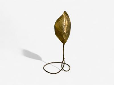 Tommaso Barbi Tomasso Barbi Patinated Brass Ginko Leaf Floor Lamp Italy 1970s