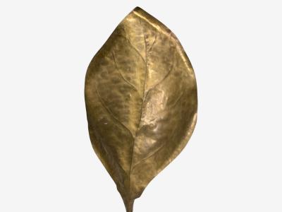 Tommaso Barbi Tomasso Barbi Patinated Brass Ginko Leaf Floor Lamp Italy 1970s