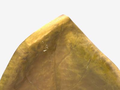 Tommaso Barbi Tomasso Barbi Patinated Brass Ginko Leaf Floor Lamp Italy 1970s