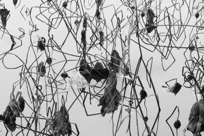 Tomohiro Muda Mizu 16 Water 16 2014