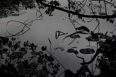 Tomohiro Muda Mizu 18 Water 18 2014