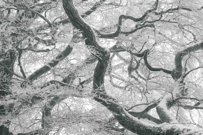 Tomohiro Muda Mizu 28 Water 28 2012