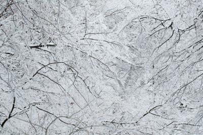 Tomohiro Muda Mizu 29 Water 29 2012