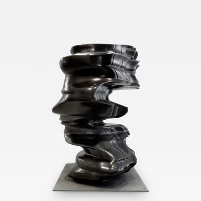 Tony Cragg 3 D Incident 2007