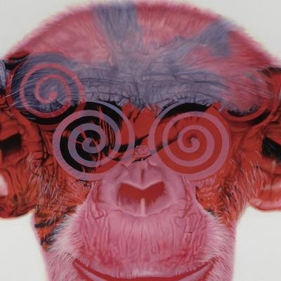 Tony South Hypno