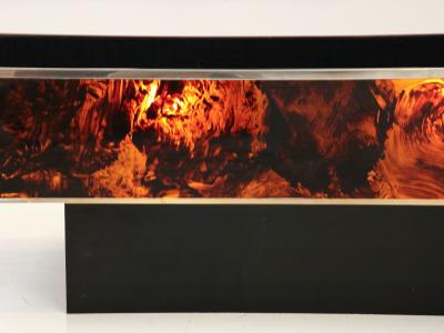 Tortoise Lucite Cocktail Table with Inerior Lights France 1970s