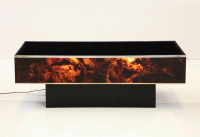 Tortoise Lucite Cocktail Table with Inerior Lights France 1970s