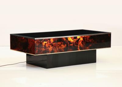 Tortoise Lucite Cocktail Table with Inerior Lights France 1970s