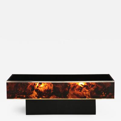 Tortoise Lucite Cocktail Table with Inerior Lights France 1970s