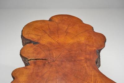 Tree Trunk Coffee Table with Branch Legs Europe ca 1970s