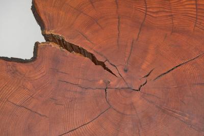 Tree Trunk Coffee Table with Branch Legs Europe ca 1970s