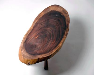 Tree slice coffee table with conical legs