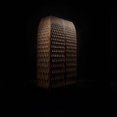 Trent Jansen Pankalangu Cabinet