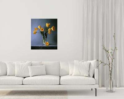 Tulipani Gialli Giclee by Dario Campanile