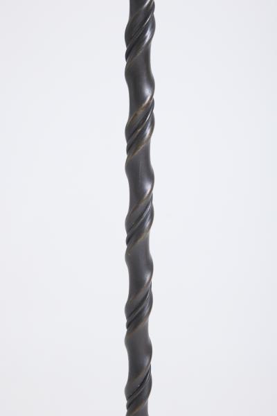 Twisted Iron Floor Lamp