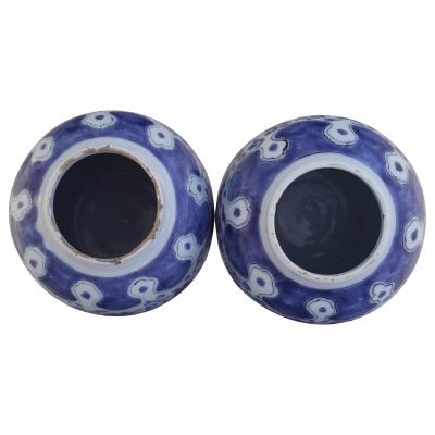 Two 17th century Dutch Delft Lotus Jars