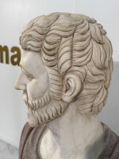 Two Tone Marble Bust of a Roman Nobleman