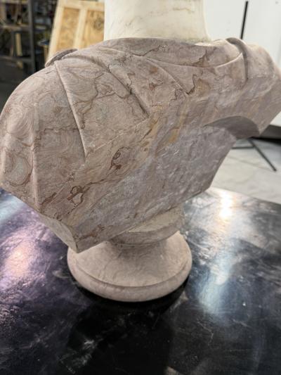 Two Tone Marble Bust of a Roman Nobleman