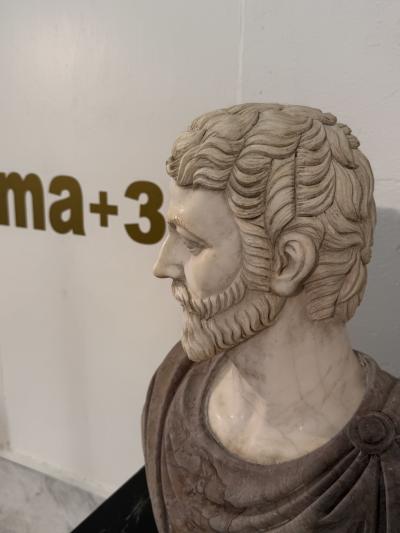 Two Tone Marble Bust of a Roman Nobleman