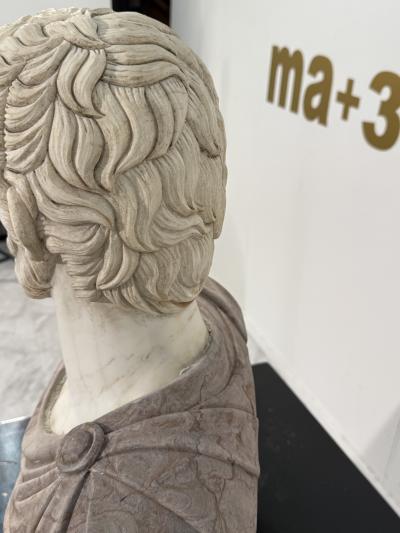 Two Tone Marble Bust of a Roman Nobleman