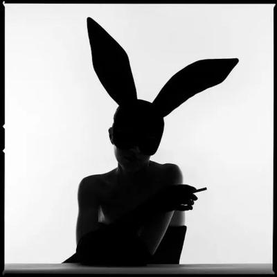 Tyler Shields Bunny Silhouette Smoke