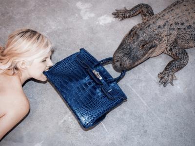 Tyler Shields Gator