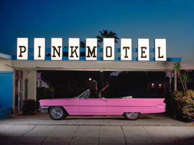 Tyler Shields Pink Motel 3 