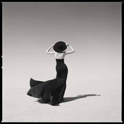 Tyler Shields The Girl in the Wind