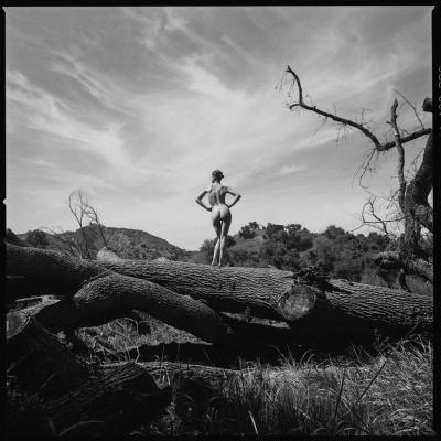 Tyler Shields The Tree Trunk