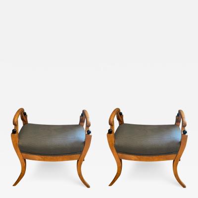 UNUSUAL PAIR OF BIEDERMEIER BENCHES