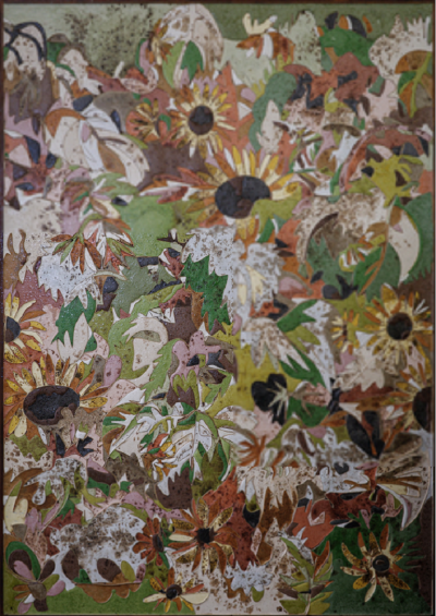 Ugo Schildge Fireworks 2024