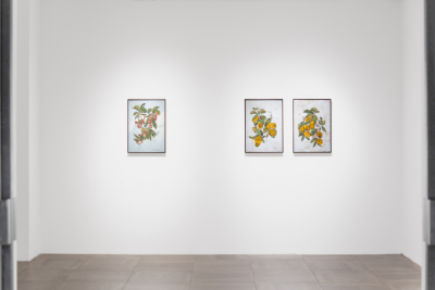 Ugo Schildge Lemon Tree Branch 2 2023