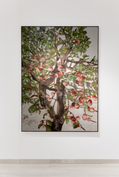 Ugo Schildge The Forbidden Fruit 2024