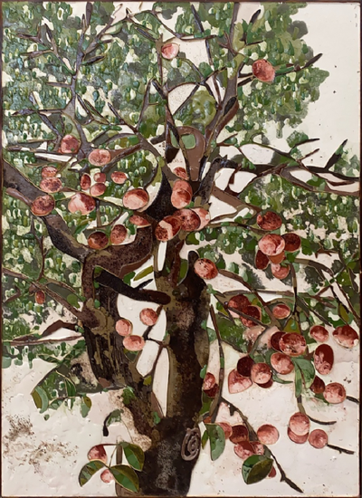 Ugo Schildge The Forbidden Fruit 2024