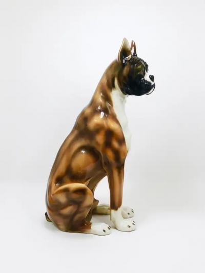 Ugo Zaccagnini Boxer Dog Life Size Majolica Statue Sculpture Glazed Ceramic Italy 1970s