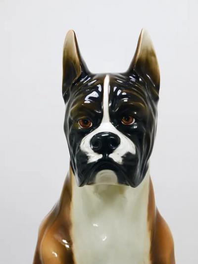 Ugo Zaccagnini Boxer Dog Life Size Majolica Statue Sculpture Glazed Ceramic Italy 1970s