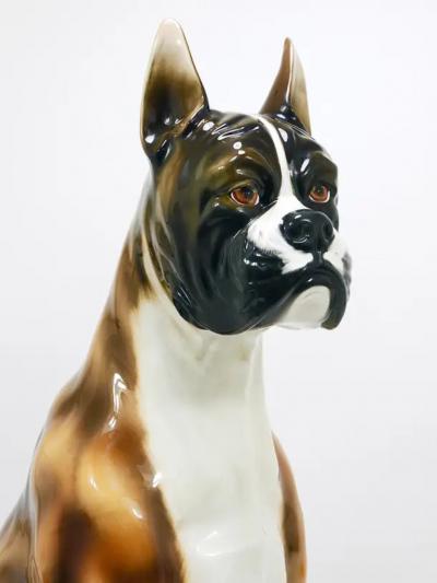 Ugo Zaccagnini Boxer Dog Life Size Majolica Statue Sculpture Glazed Ceramic Italy 1970s