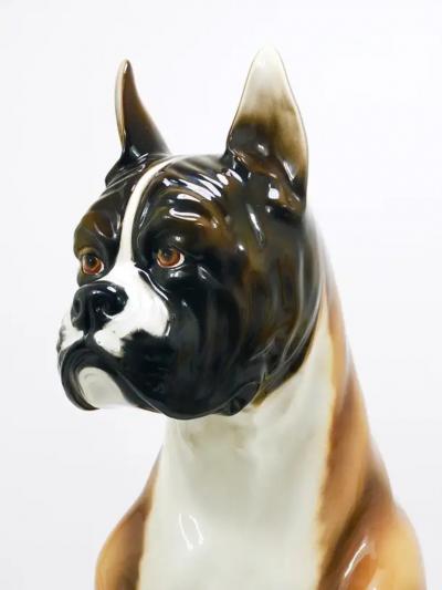 Ugo Zaccagnini Boxer Dog Life Size Majolica Statue Sculpture Glazed Ceramic Italy 1970s