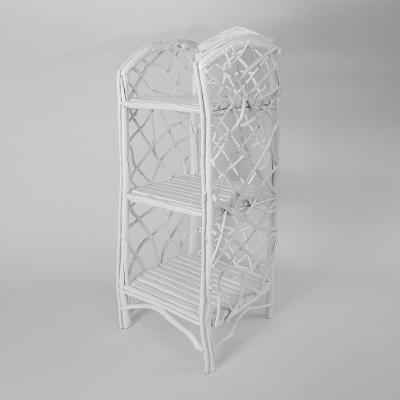 Umberto Pasti WHITE LACQUER ROOT BOOKSHELF