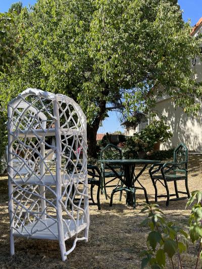 Umberto Pasti WHITE LACQUER ROOT BOOKSHELF