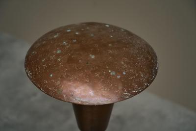 Unique Floor Lamp in Patinated Copper 1960s