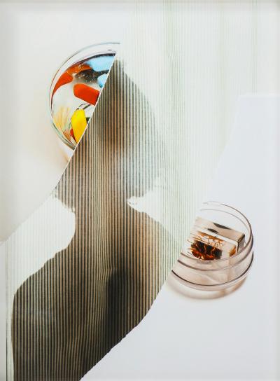 Untitled from the series Bad Prints 2019