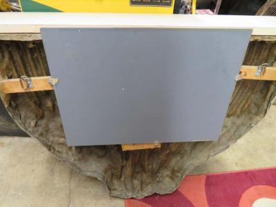 Unusual Saguaro Cactus Skeleton Fiberglass Mirror Shelf Midcentury